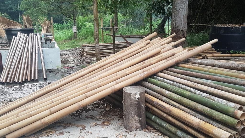 bamboo-sticks-supplier