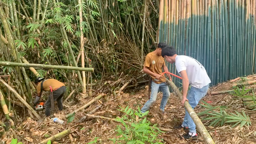 bamboo sourcing in malaysia